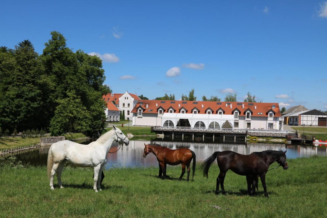 Palac Mortegi Hotel & Spa- Restauracja Szlachecka, Spa, Basen, Sauny, Jazda Konna, Mini Zoo- Luksus, Relaks I Przyroda W Jednym! Lubawa Exterior foto